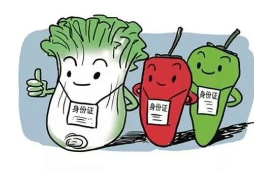 食品銷售中的溯源身份證 漲知識，一掃知身世