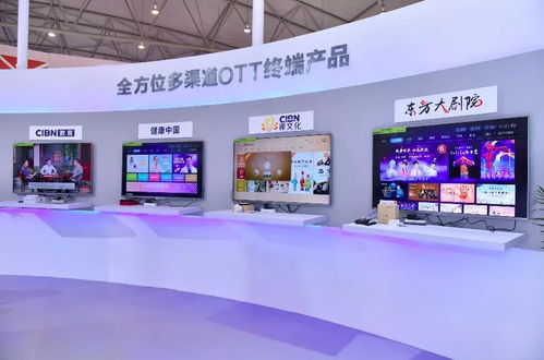 小C跑會 CIBN互聯網電視攜技術、內容、服務與硬件 把網絡視界帶到成都